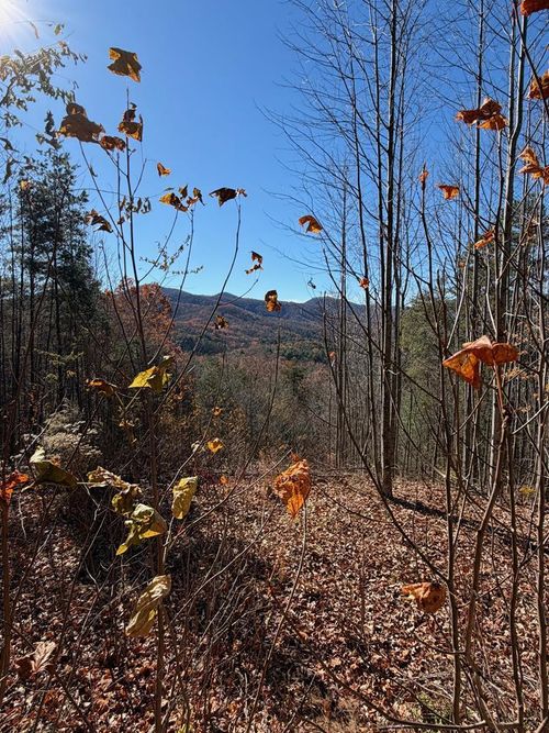 Lot 14 View Ridge Trl, Murphy, NC, 28906 | Card Image