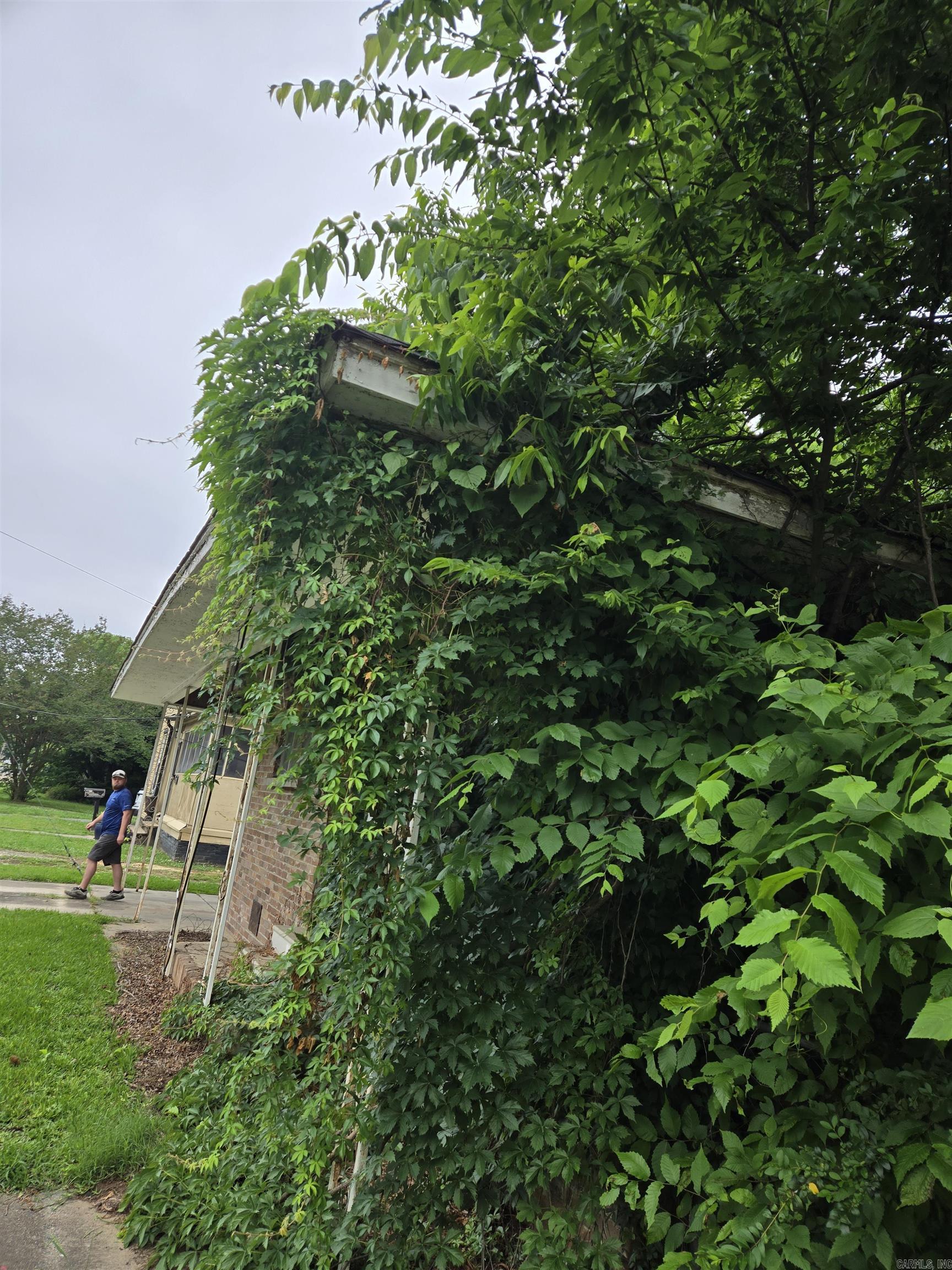 Residential in Pine Bluff 4