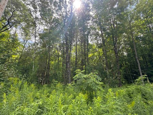 95 Barrywilde Road, Fairfield, VT, 05455 | Card Image