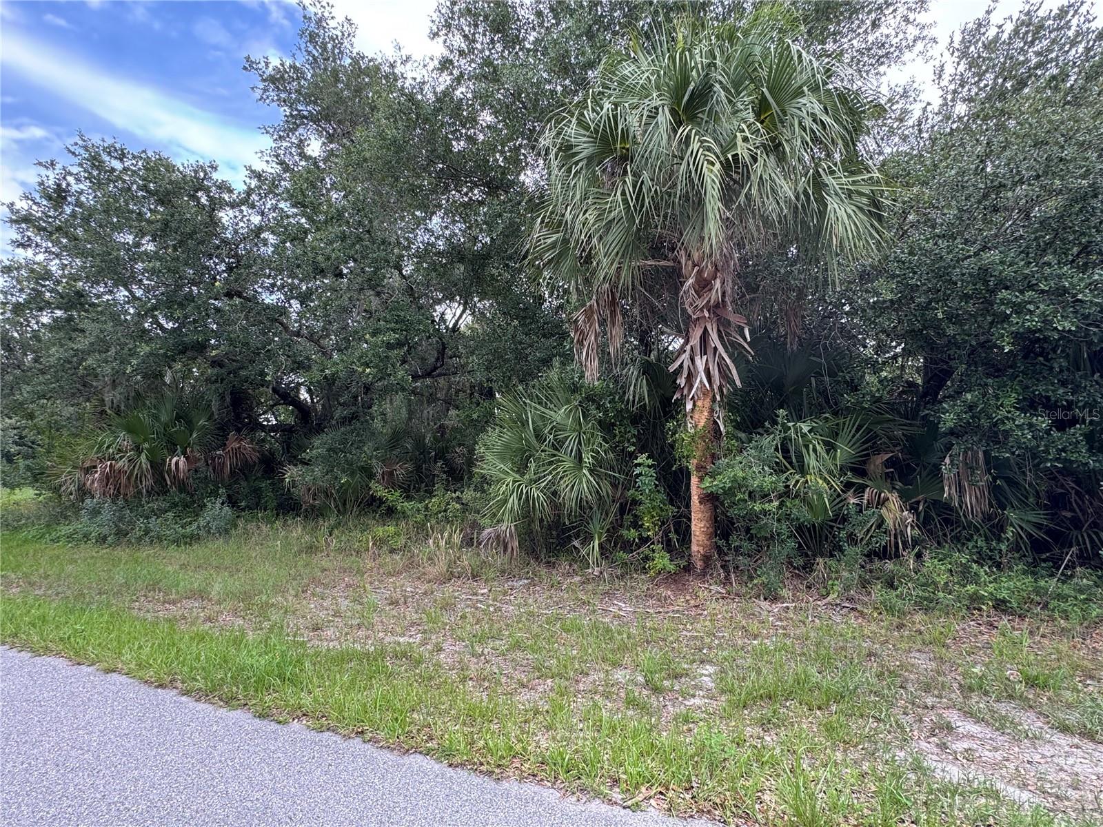 Land in PORT CHARLOTTE