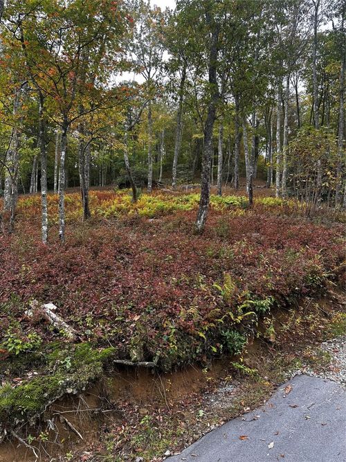 38 Hidden Acres Trl, Franklin, NC, 28734 | Card Image