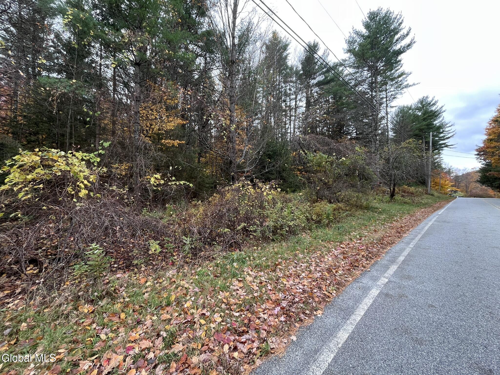 Land in Lake George 5