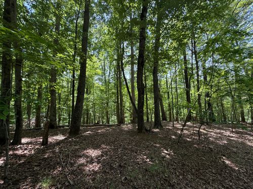 Lot 53 Hickory Woods Ln, Hardy, VA, 24101-3117 | Card Image