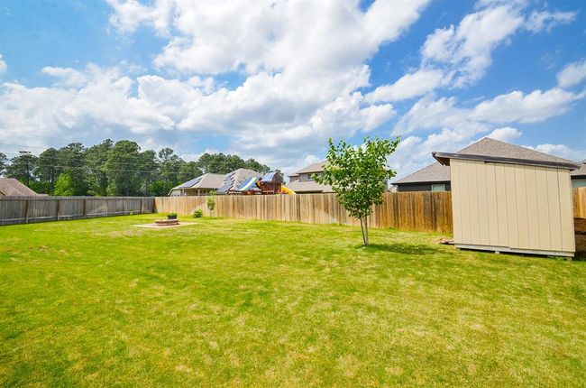 What a sublime green 'mural' right in your own backyard. | Image 32