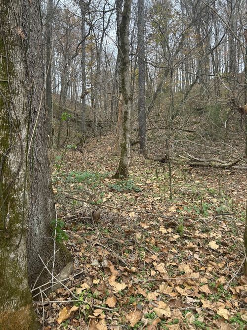 0 Red Boiling Road Springs, Red Boiling Springs, TN, 37150 | Card Image