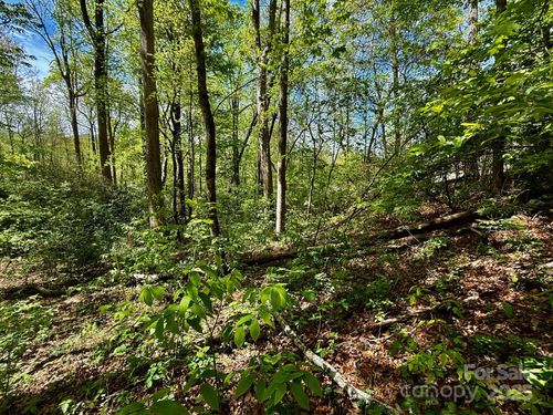 TBD Knox Rd, Black Mountain, NC, 28711 | Card Image