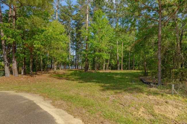 34 Bent Pebble Point-4 | Image 6