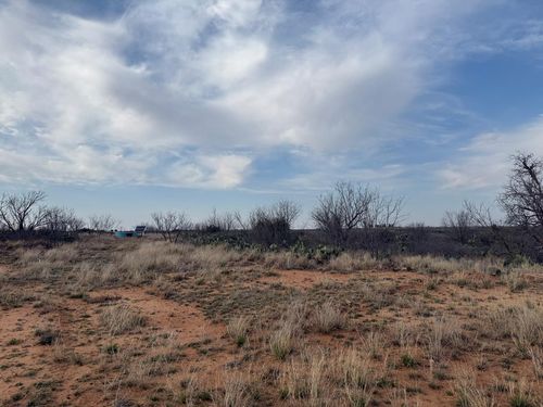 01 Fm 2319, Colorado City, TX, 79512 | Card Image