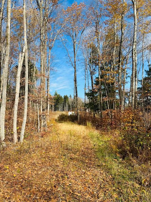 227 Gault Rd, Wardsboro, VT, 05355 | Card Image