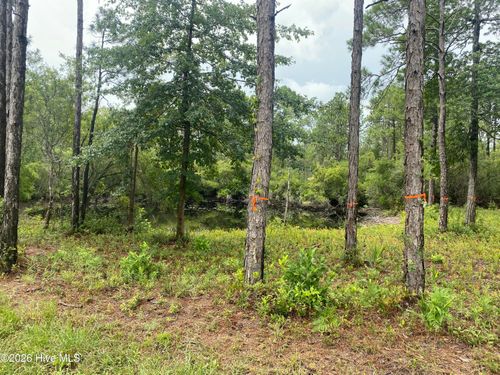 120 Dixon Ln, Boiling Spring Lakes, NC, 28461 | Card Image