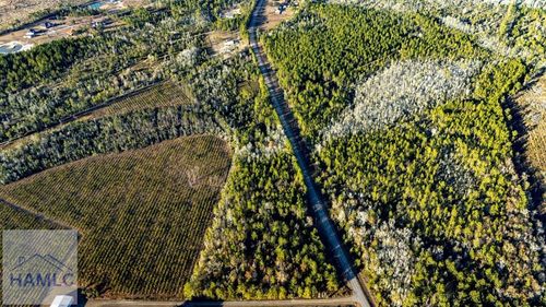 14 Acres Smiley Rd Ne, Ludowici, GA, 31316 | Card Image