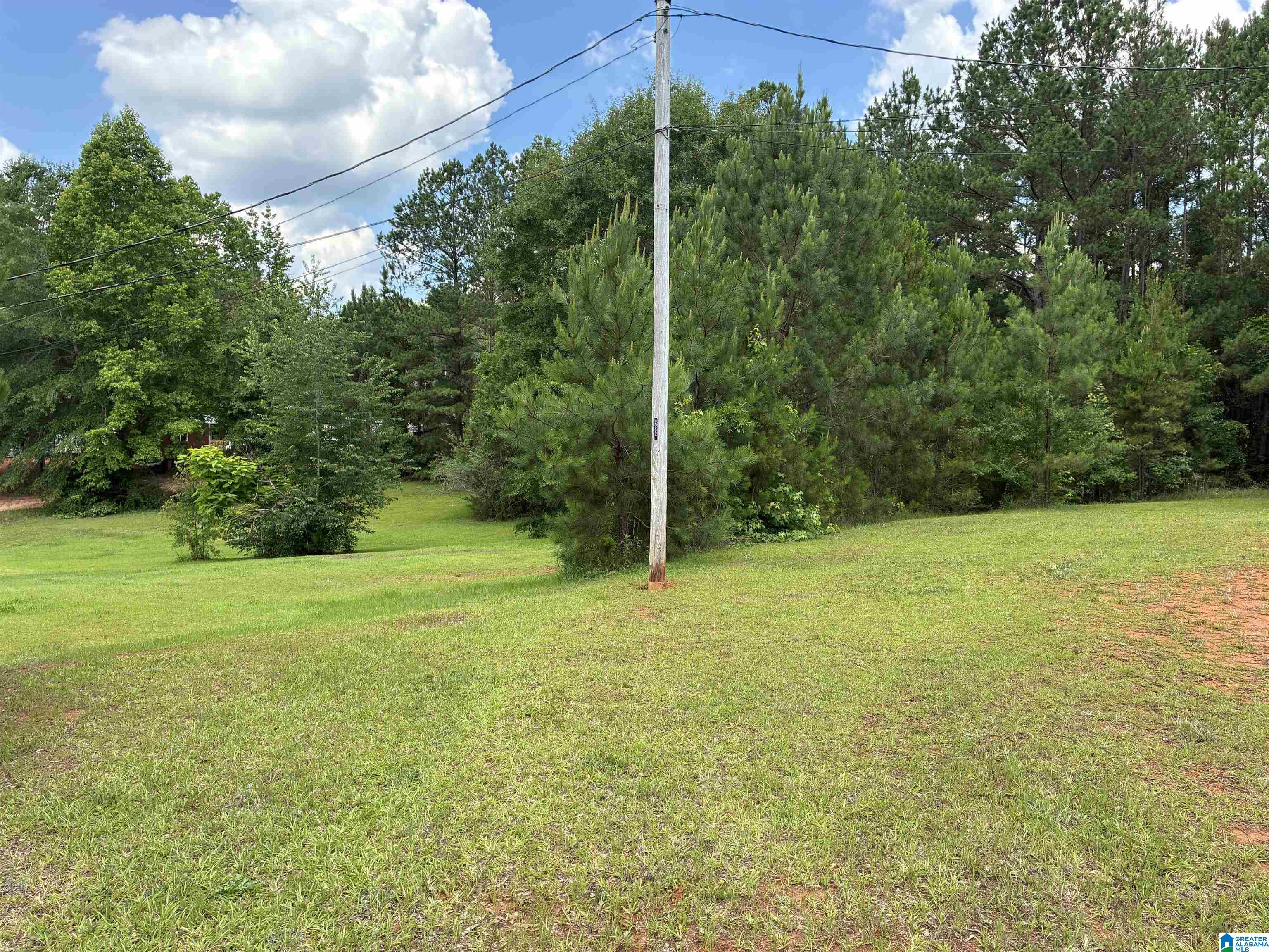 Residential in OPELIKA 5