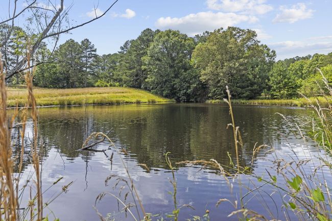 989 Kay Conley Rd, House other with 4 bedrooms, 4 bathrooms and null parking in Rock Spring GA | Image 86