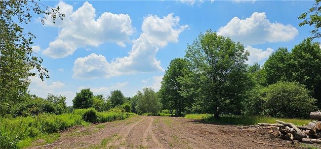 Lot 81.4 County Road 114, Home with 0 bedrooms, 0 bathrooms and null parking in Cochecton NY | Image 1