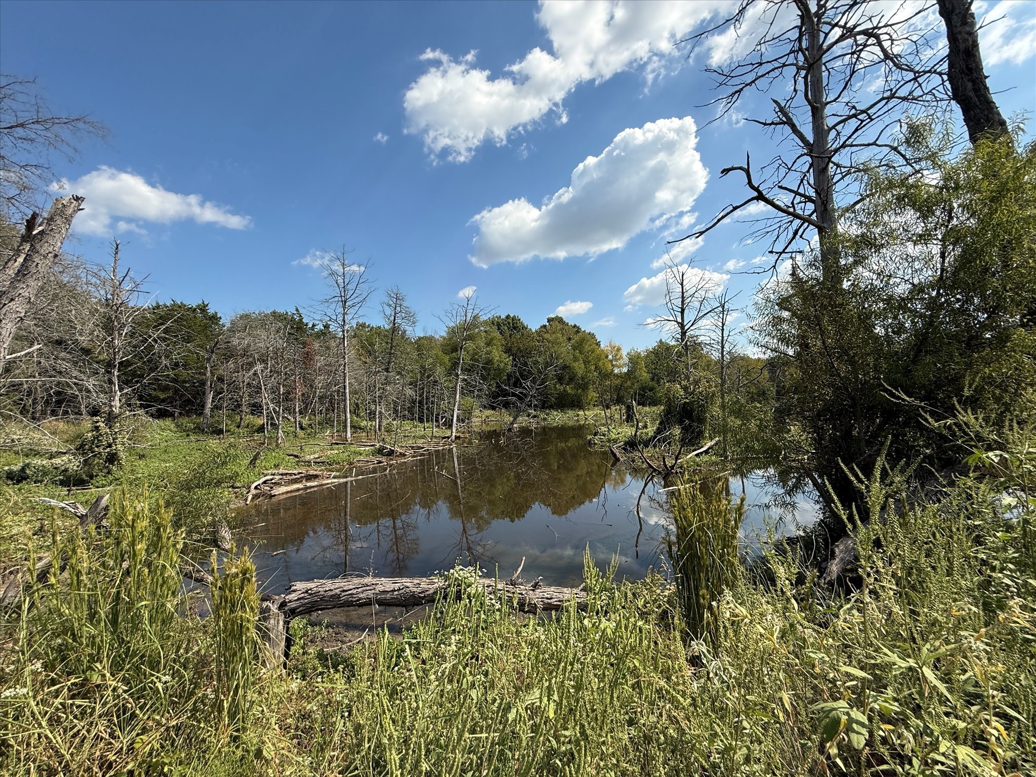 Land in Terrell 5