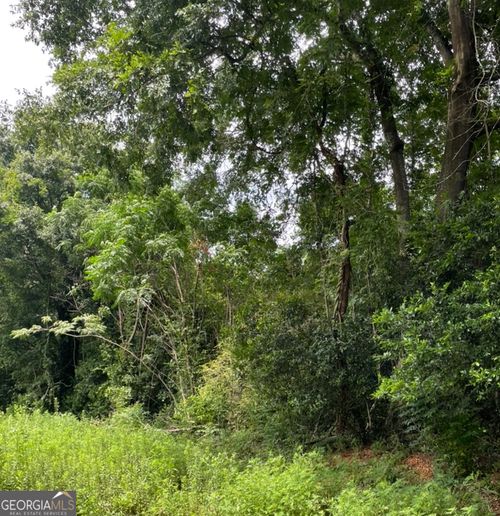 0 Perkins Rd, BARNESVILLE, GA, 30204 | Card Image