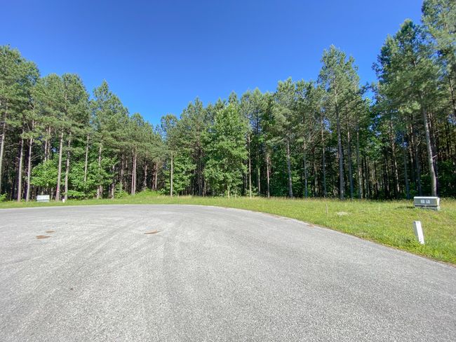 80 High Point Ln, Home with 0 bedrooms, 0 bathrooms and null parking in Jasper TN | Image 23