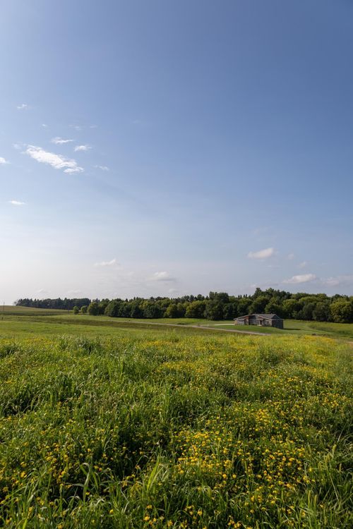 1 Boelter Estates Lane Nw, Rochester, MN, 55901 | Card Image