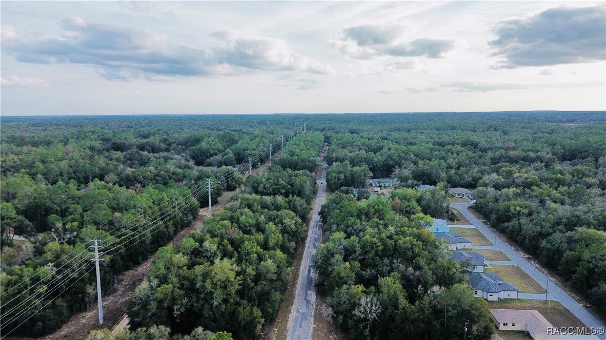 Land in Citrus Springs 5