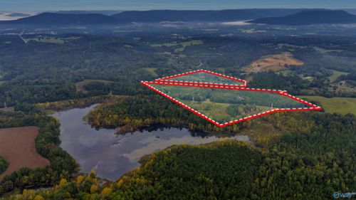 56+/- ac County Road 96, Stevenson, AL, 35772-5530 | Card Image