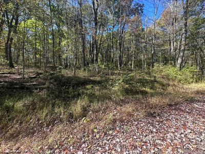 LOT-20-AUSTRIAN - 20 Rhododendron Drive, Home with 0 bedrooms, 0 bathrooms and null parking in Terra Alta WV | Image 2