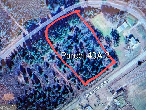 LOT 2 Beards Bluff Rd, Odum, GA, 31555 | Card Image