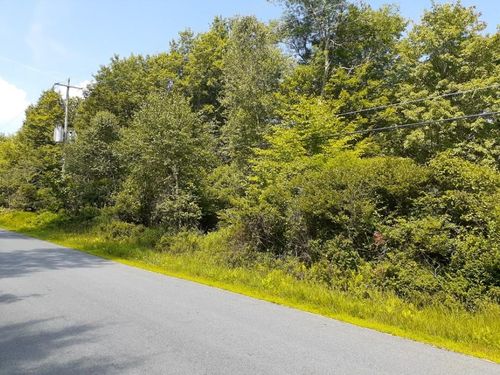351 White Roe Lake Rd, Livingston Manor, NY, 12758-5655 | Card Image