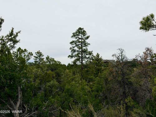 4918 Sunset Ridge Loop, Happy Jack, AZ, 86024 | Card Image