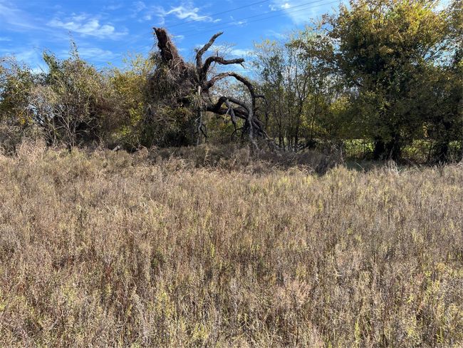 View of corner near road and water meter | Image 23