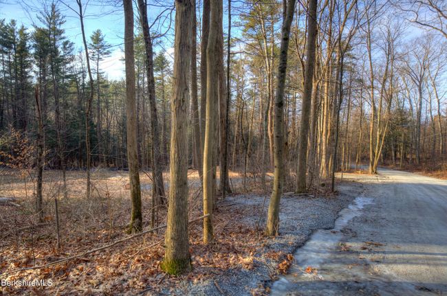 13 Rattlesnake Mtn Rd, Home with 0 bedrooms, 0 bathrooms and null parking in Stockbridge MA | Image 16