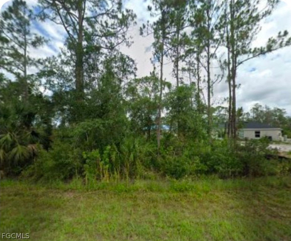 Land in Lehigh Acres