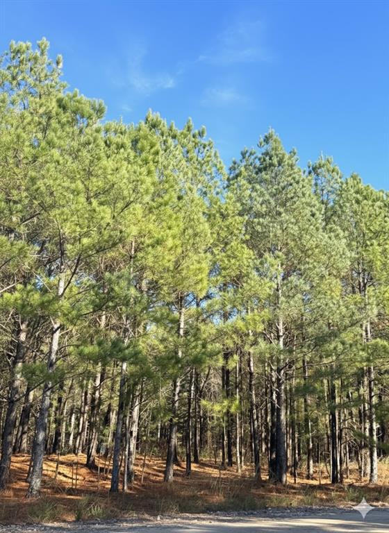 Land in Broken Bow