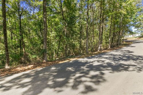 000 Mountain View Ln, Vance, AL, 35490 | Card Image