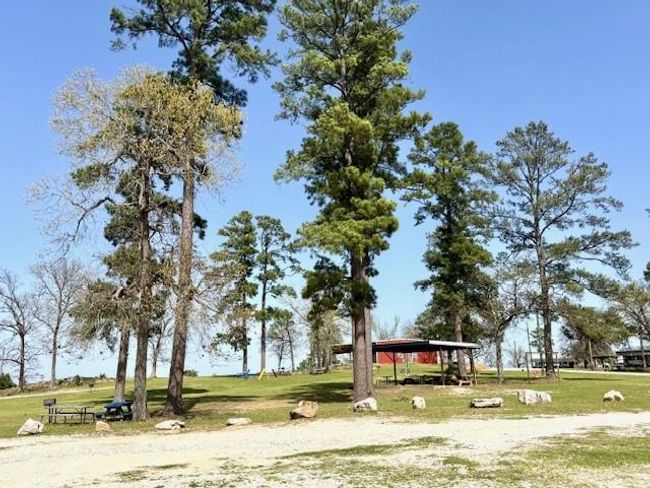 376 Nueces Dr, Home with 0 bedrooms, 0 bathrooms and null parking in Trinity TX | Image 12