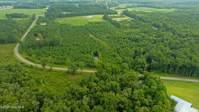 0 Great Swamp Loop, Home with 0 bedrooms, 0 bathrooms and null parking in Lucama NC | Image 5