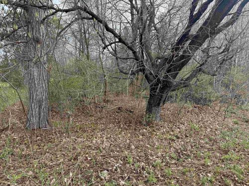 1 acre MOL Merrill Avenue, MAINE, WI, 54401 | Card Image