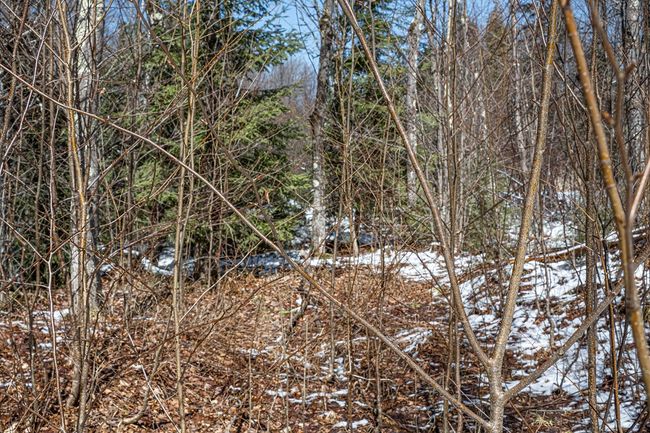 160-acre Pleasant Lake Rd, Home with 0 bedrooms, 0 bathrooms and null parking in Upson WI | Image 41