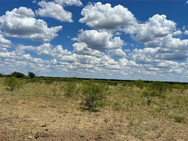 Native Pasture | Image 11