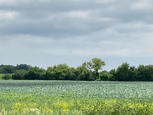 Lt0 Ne Frontage Rd, STURTEVANT, WI, 53177 | Card Image