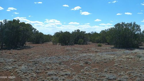 5 County Road 8077, Concho, AZ, 85924 | Card Image