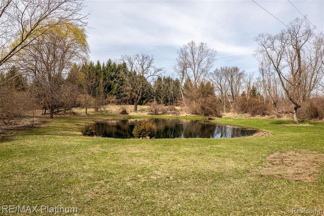 Pond #1 with your own wooden bridge to cross! | Image 7