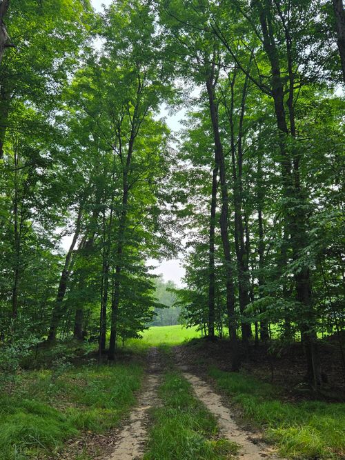 V/L 21 Mile Rd, Tustin, MI, 49688 | Card Image