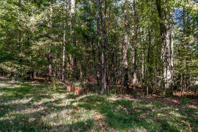 1220 Apalachee Woods Trl, Home with 0 bedrooms, 0 bathrooms and null parking in Buckhead GA | Image 10