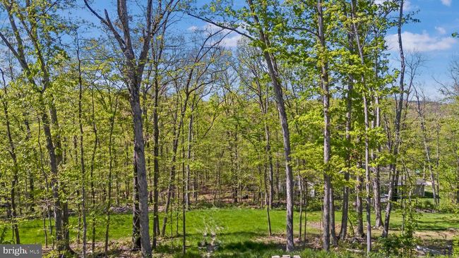 325 Walker Farm Dr, House other with 3 bedrooms, 2 bathrooms and null parking in FRONT ROYAL VA | Image 28