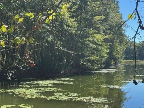 0 Poplar Creek Dr, Elloree, SC, 29047 | Card Image