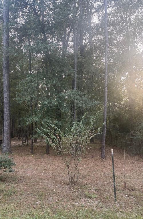 19008 Nottingham Ln, New Caney, TX, 77357 | Card Image