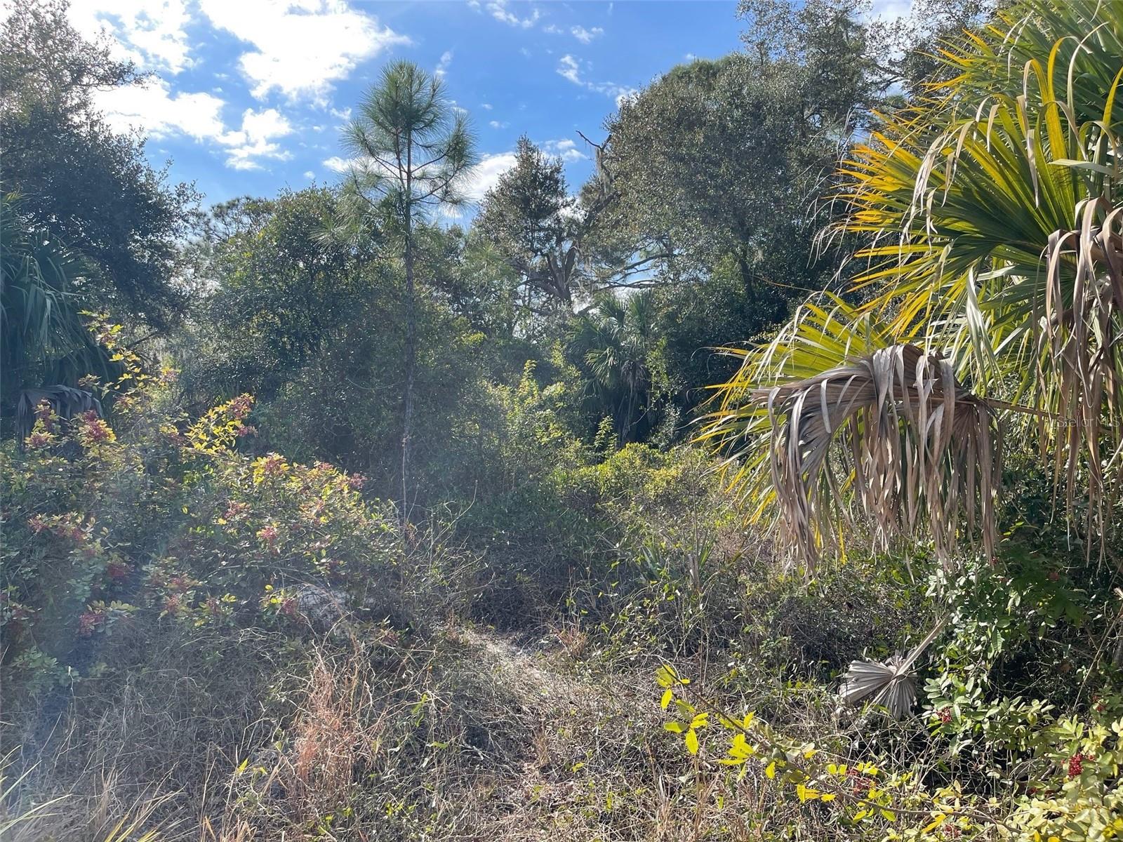 Land in NORTH PORT 2