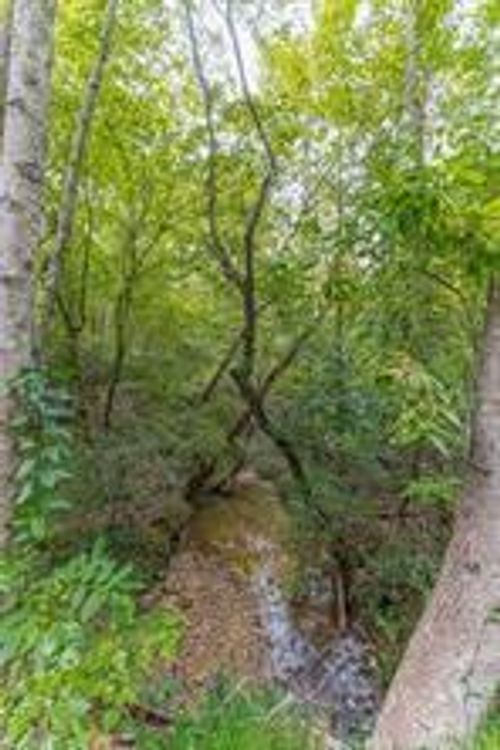 4033 Hidden Hollow Dr, GAinesville, GA, 30506-4608 | Card Image