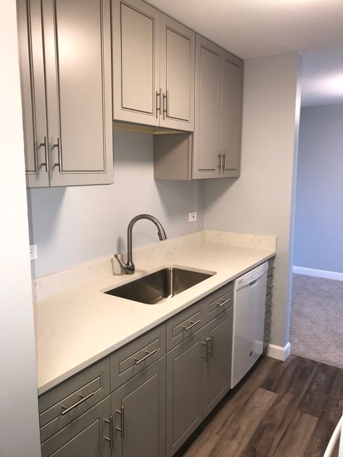 apt-3505-4 Oak Creek Dr, Buffalo Grove, IL, 60089-3710 | Card Image