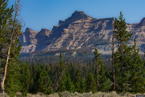  Ramshorn Ranch Road, Dubois, WY, 82513 | Card Image